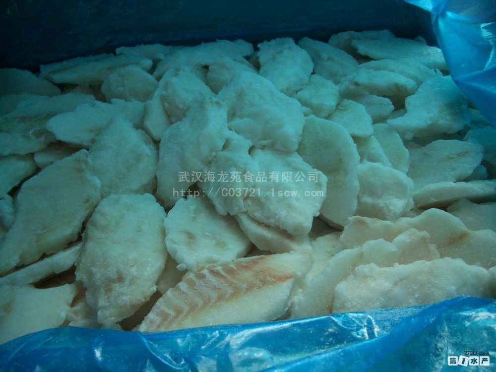 太平洋大比目鱼