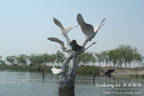 天鹅湖