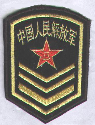  p> a href="#" data-lemmaid="458031">中国人民解放军 /a>1987式