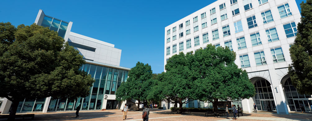  p>东京国际大学(とうきょうこくさいだいがく, a target="_blank"