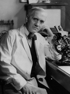  p>亚历山大·弗莱明(alexander fleming,1881年8月6日—1955年3月11