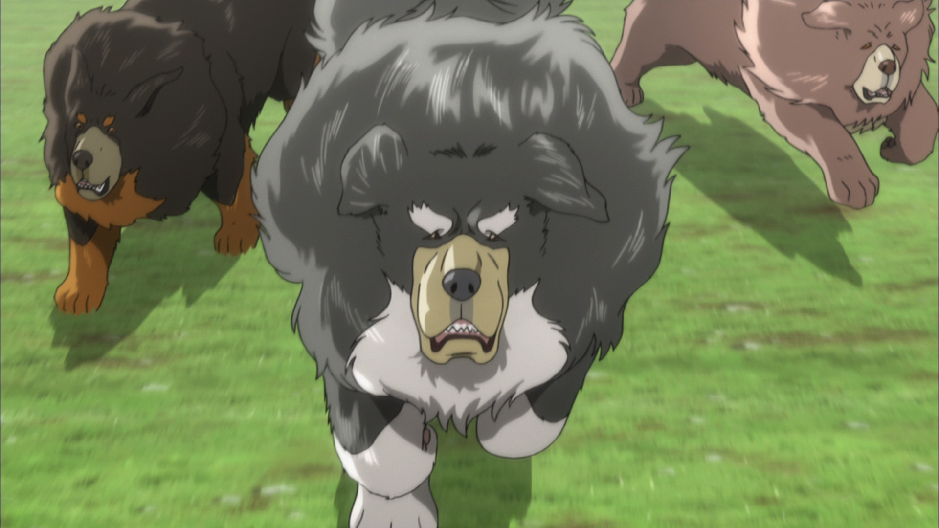  p>《藏獒多吉》是由中日首次合拍的一部动画冒险电影,由 a href="#"