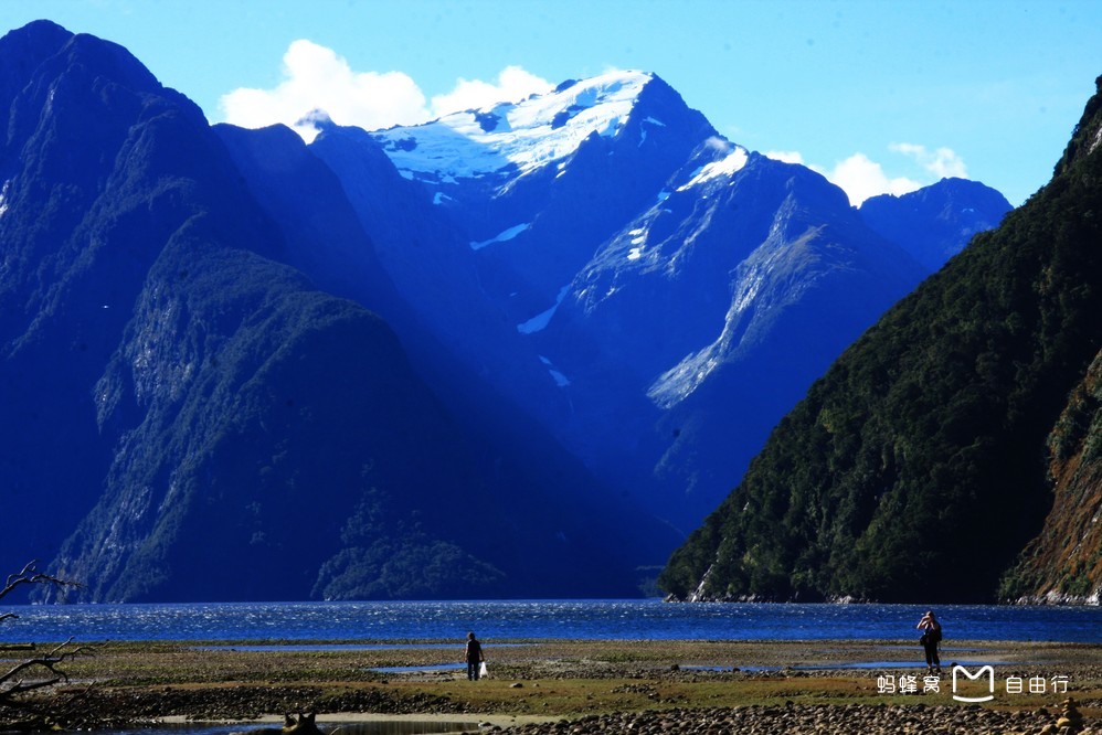 毛利语:piopiotahi),在毛利语的意思为"第一只野生画眉"(first native