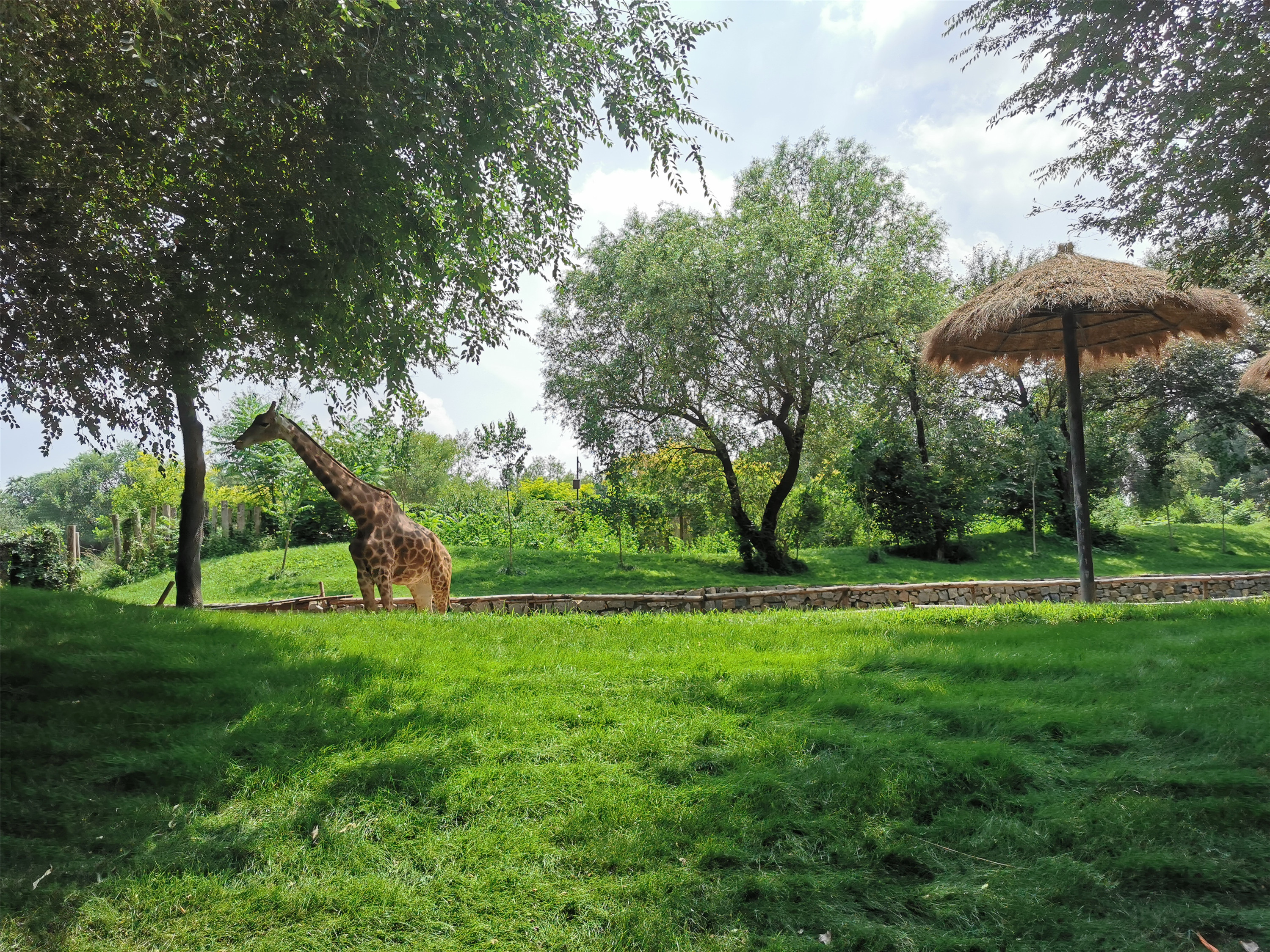 大兴北京野生动物园