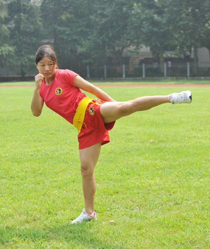 在 a href="#" data-lemmaid="3795119">2011年全国女子武术散打锦标