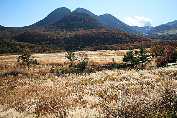  p>潘帕斯草原又称南美草原或阿根廷草原,南美 a target="_blank"