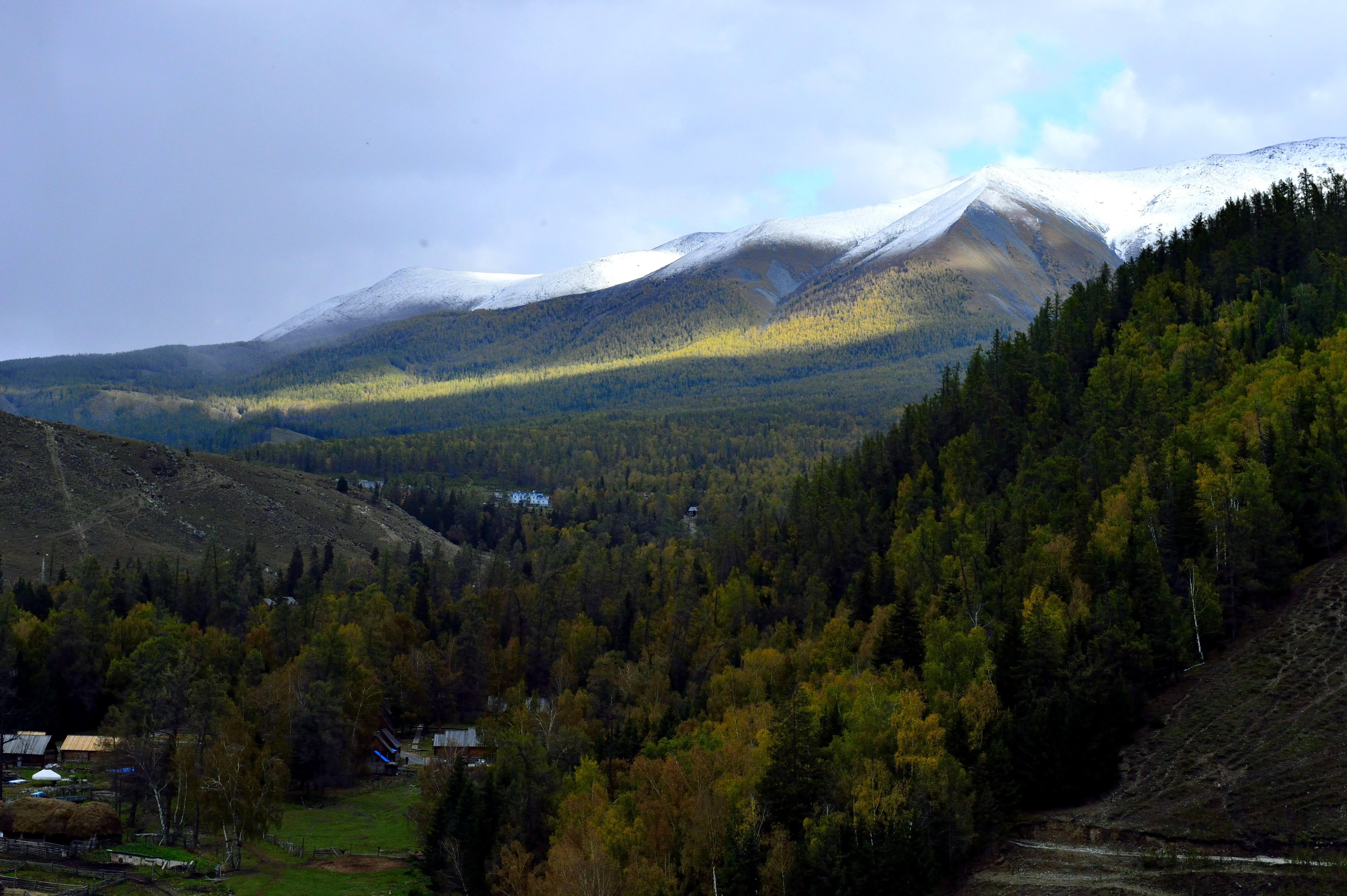 包含新疆天山天池风景区壁纸的词条