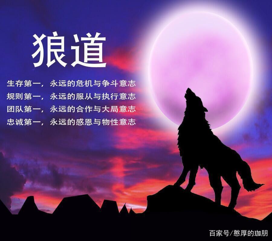 狼道心得精华分享_百科TA说