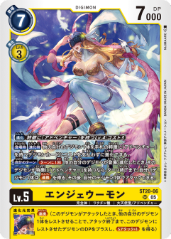 ST20-06