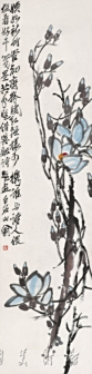 玉兰花