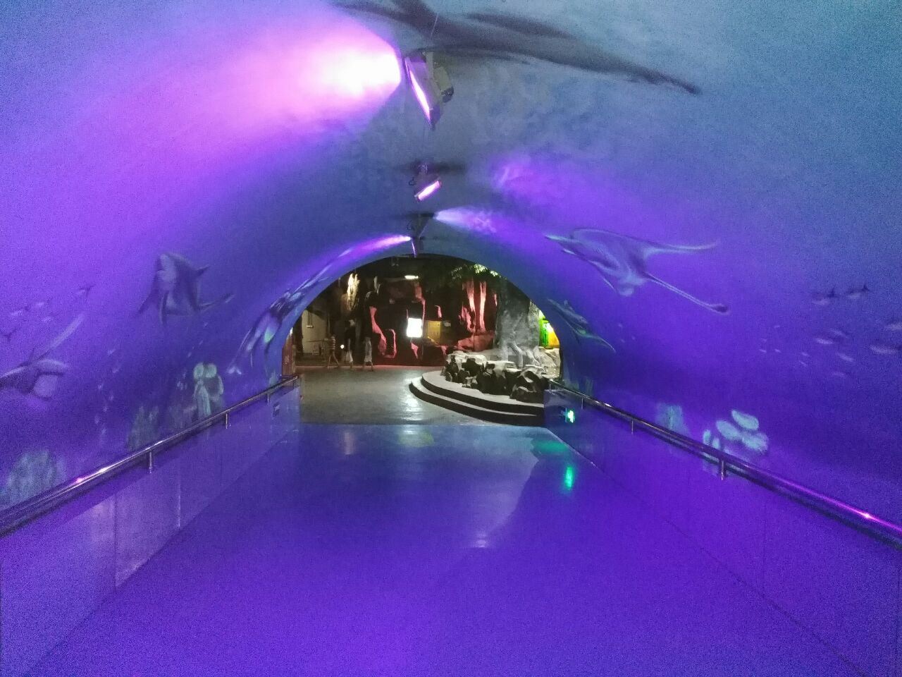 潍坊欢乐海底世界