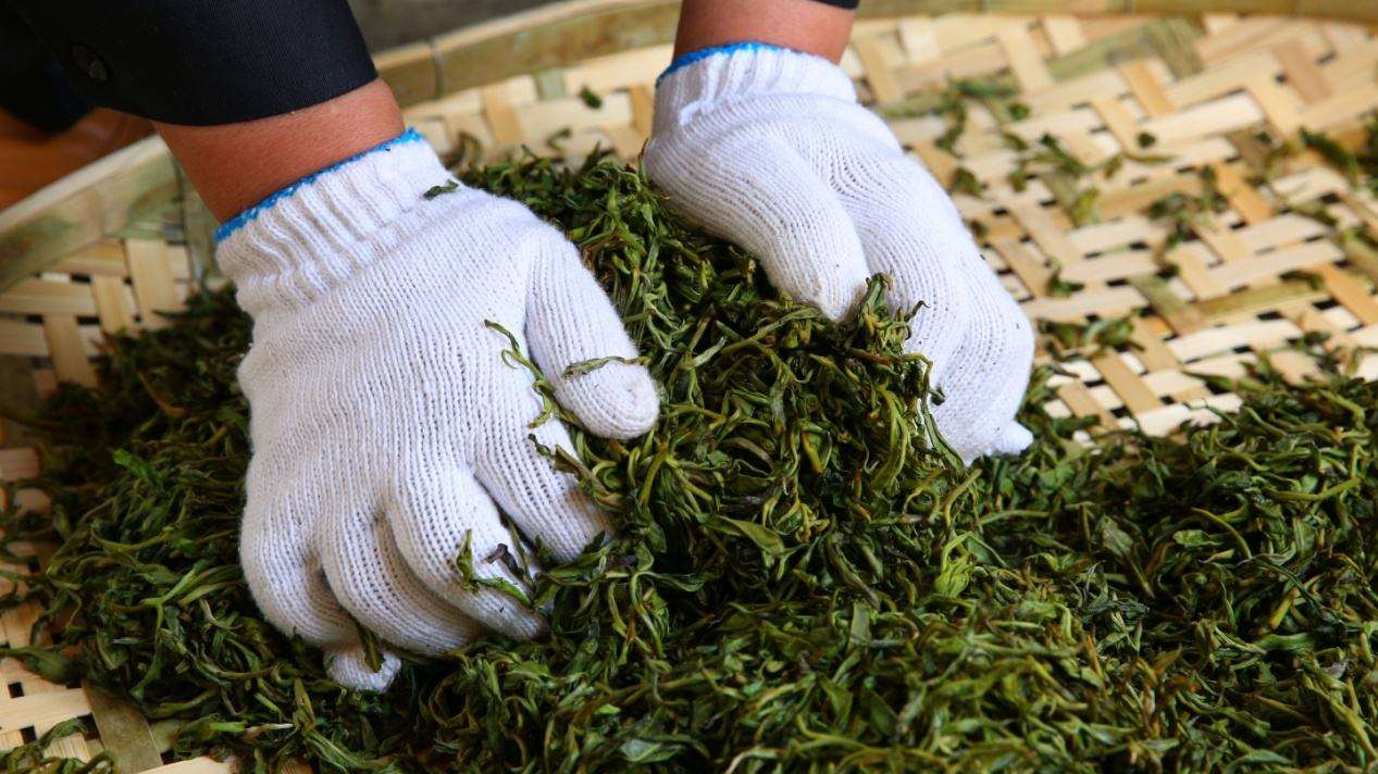 大埔西岩乌龙茶制作技艺