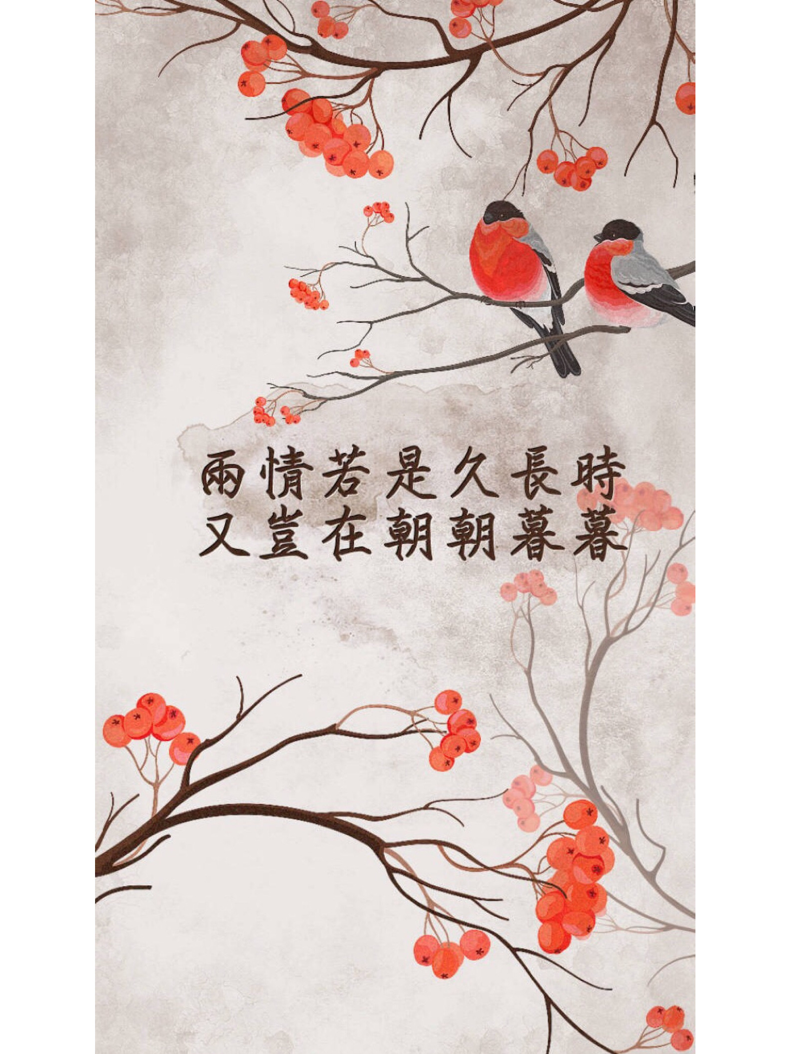 两情若是久长时又岂在朝朝暮暮