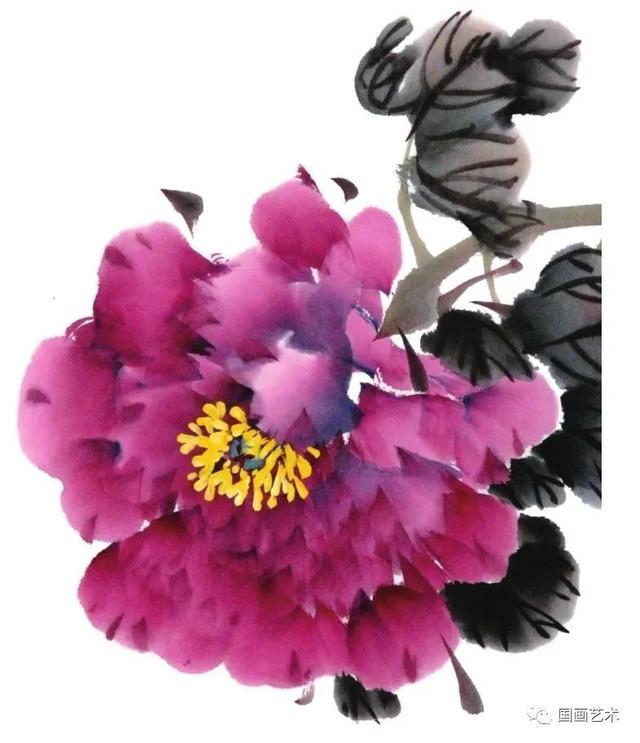 图文教程 紫 红牡丹花头写意画法与形态参考 百科ta说