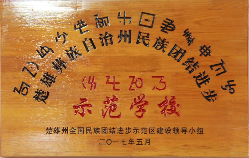 武定县民族中学