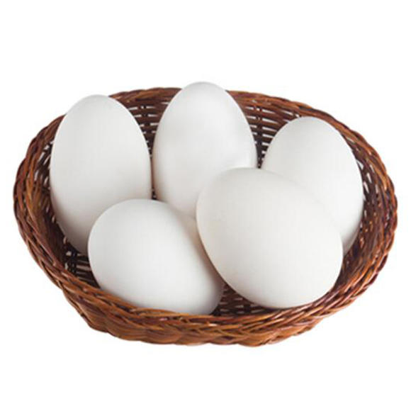 鹅蛋成椭圆形,个体很大,味道有些油,新鲜的鹅蛋必须烹饪后食用.