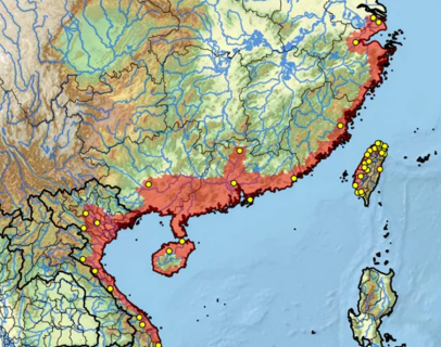 中华花龟 龟界中的国美之花 百科ta说