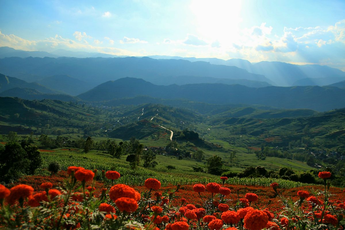 href="/item/弥勒市/7709015" data-lemmaid="7709015">弥勒市 /a>