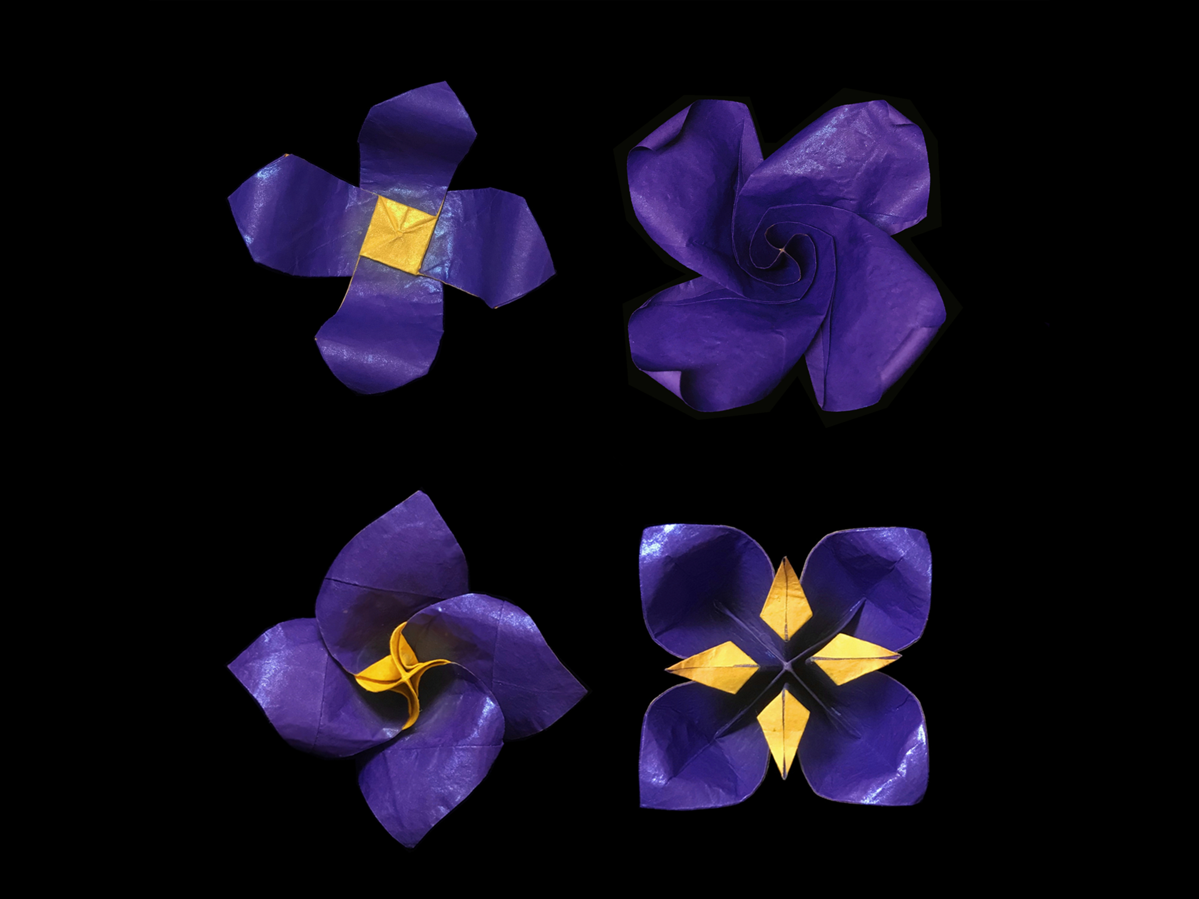  p data-id="gnbuk9qwn6">裴浩正,1996年出生于南京,艺术家,国际折纸