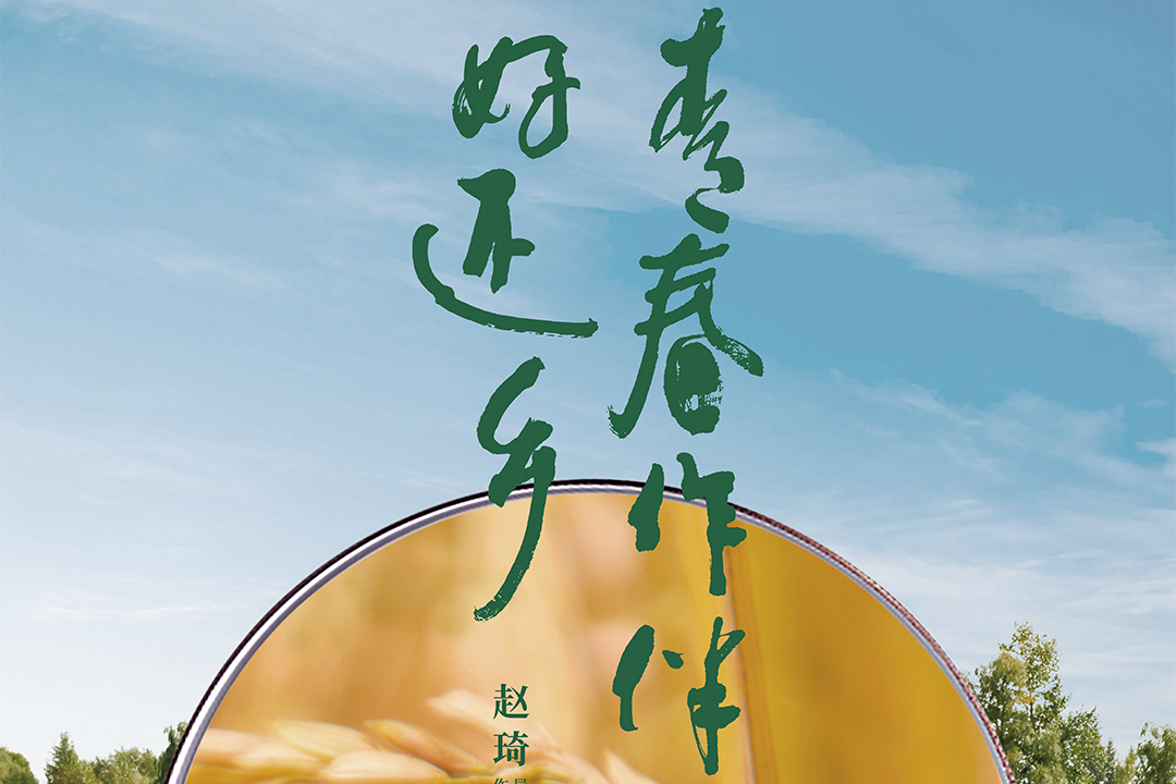 青春作伴好还乡