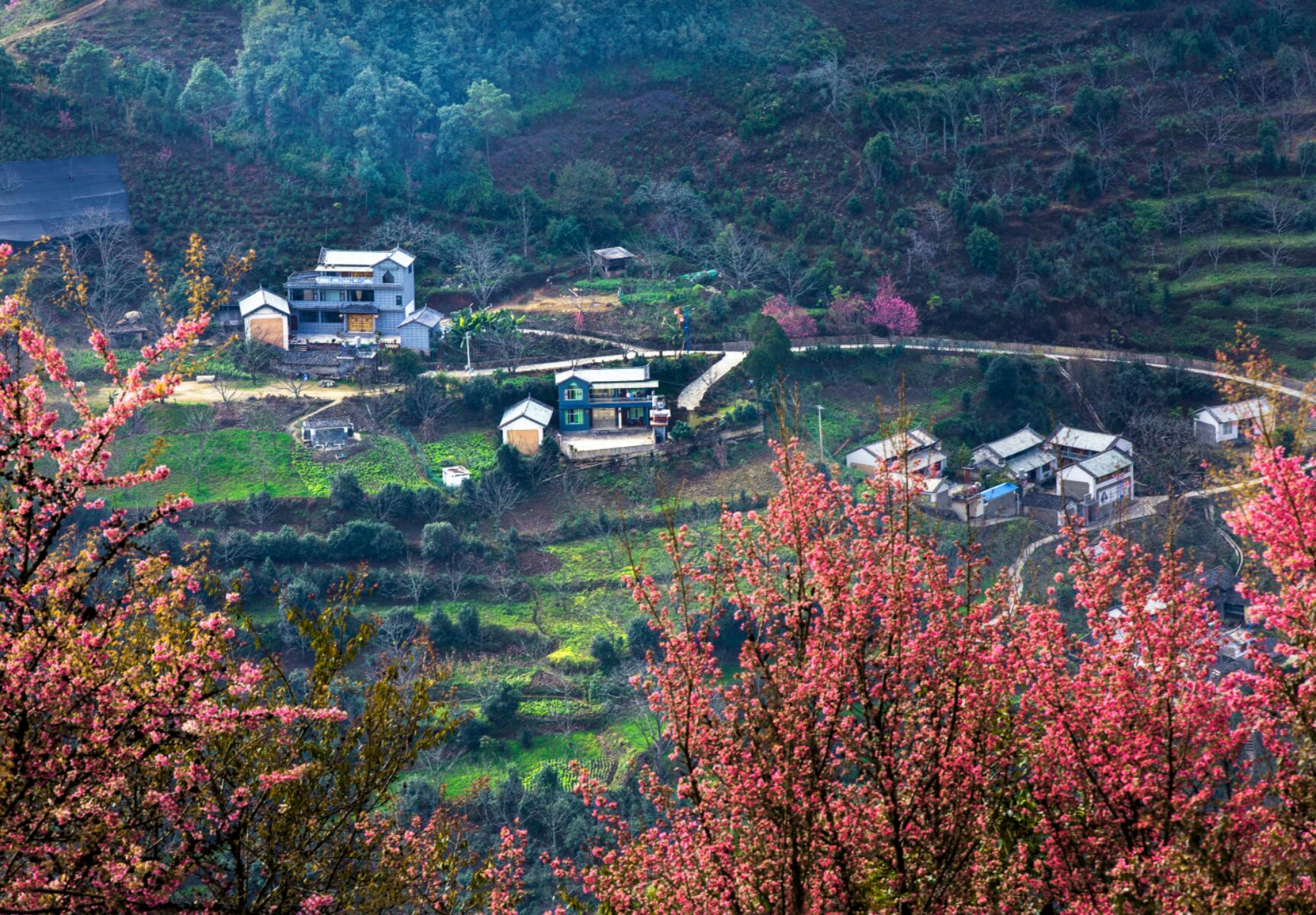 ="go05ulc9zk">无量山镇,隶属于云南省大理白族自治州南涧彝族自治县