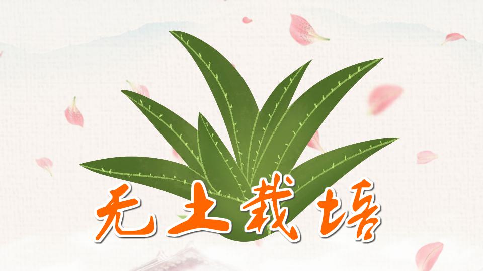 无土栽培:不用天然土壤的栽培方法