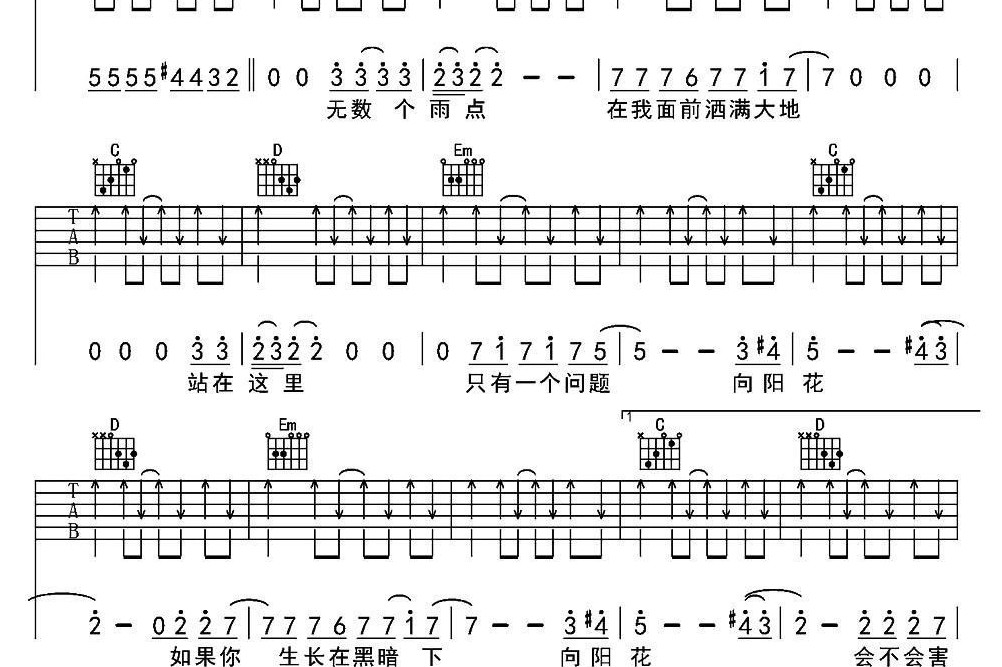 向阳花