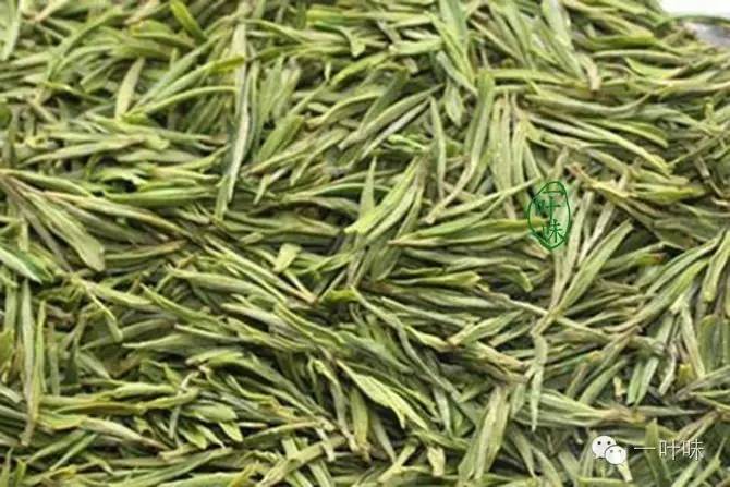  p data-id="gnwjidcvci">华山银毫产于安徽省六安市大别山区的华山