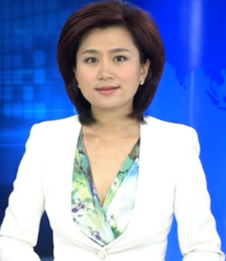 中央经济频道主持人名单(中央经济频道主持人名单表)