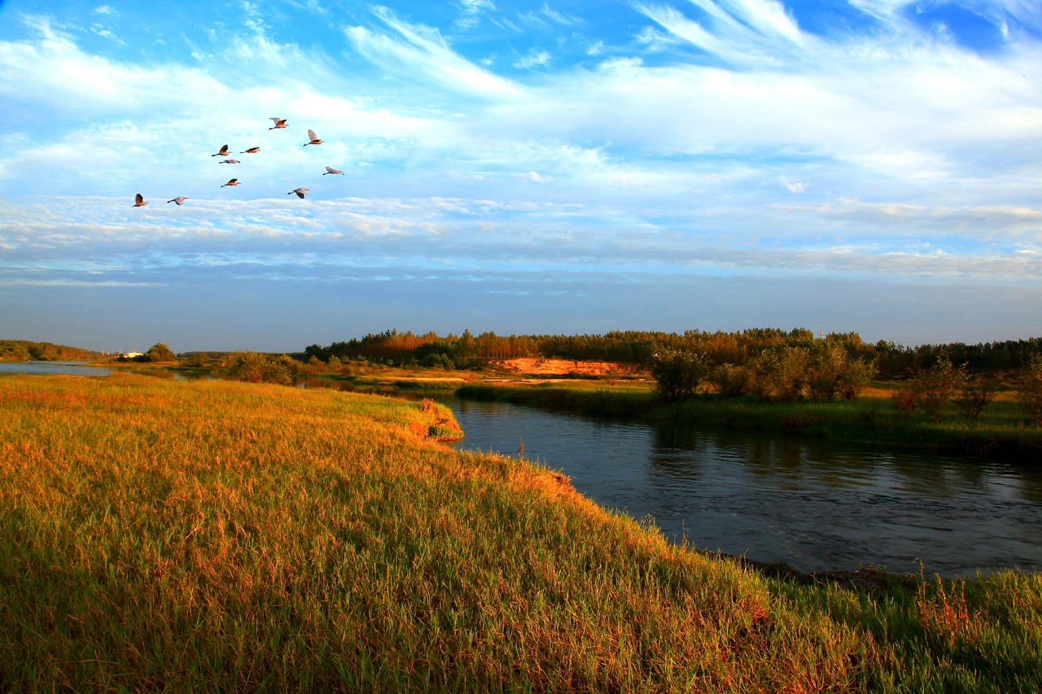 河南光山龙山湖国家湿地公园