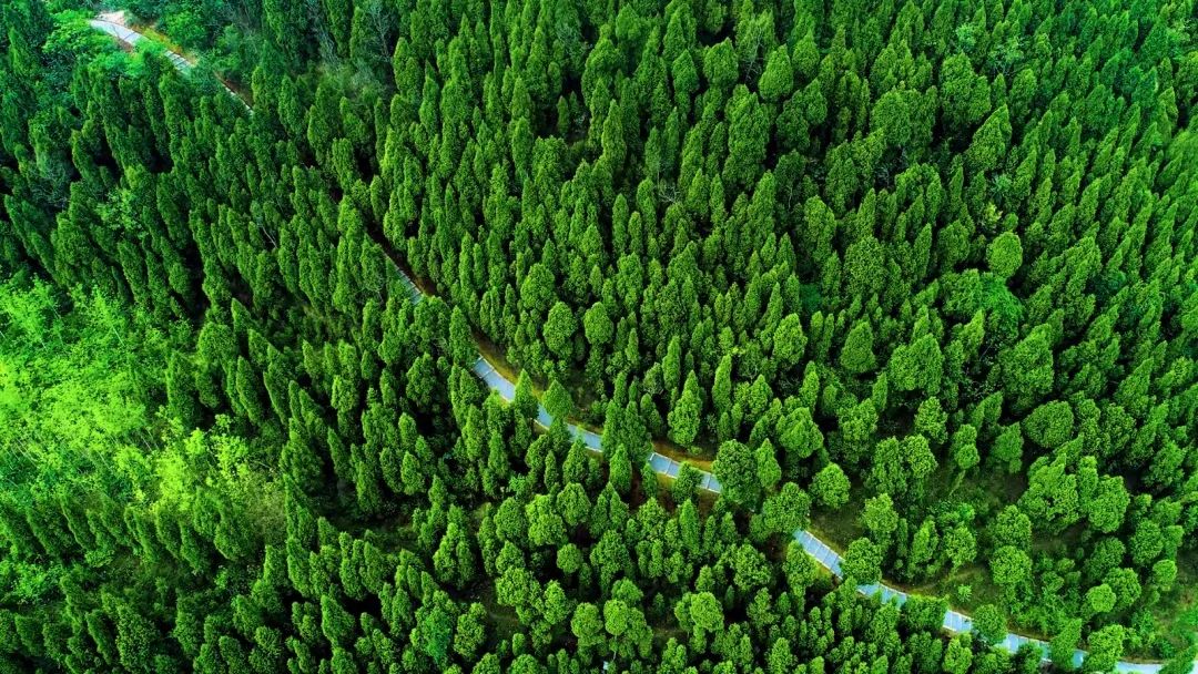  p data-id="gnbtsmq3cb">龙泉山城市森林公园位于四川省成都市 a