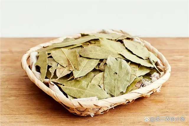 香叶是厨房里常用的调味品之一，它还有哪些其他的用处呢？_百科TA说