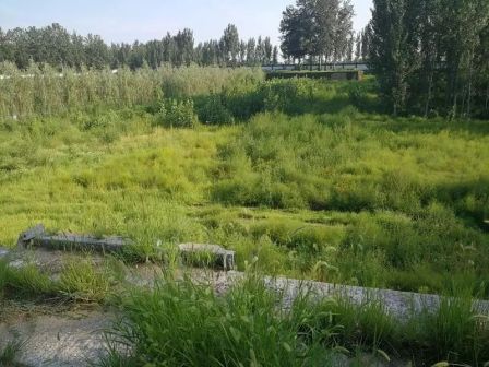 京杭大运河红庙村金门闸遗址