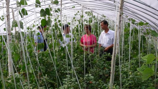  p>黑龙江省鸭绿河农场位于三江平原的东北部同江市境内,东距乌苏里江