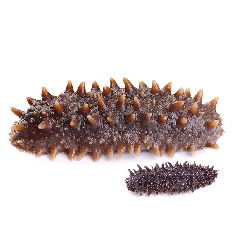  p>日本红参即关东参,是品质非常好的海参,属刺参的一种. /p>