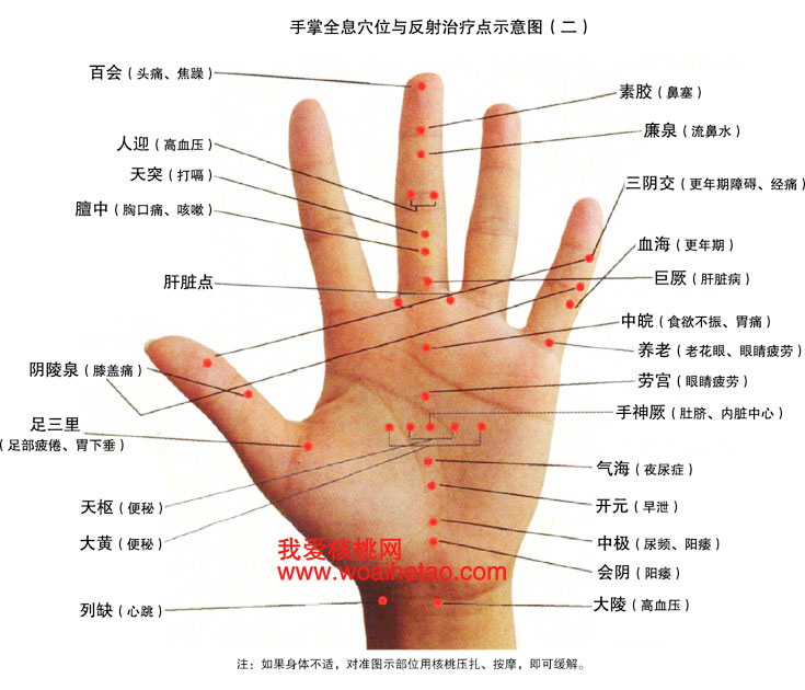手掌全息反应
