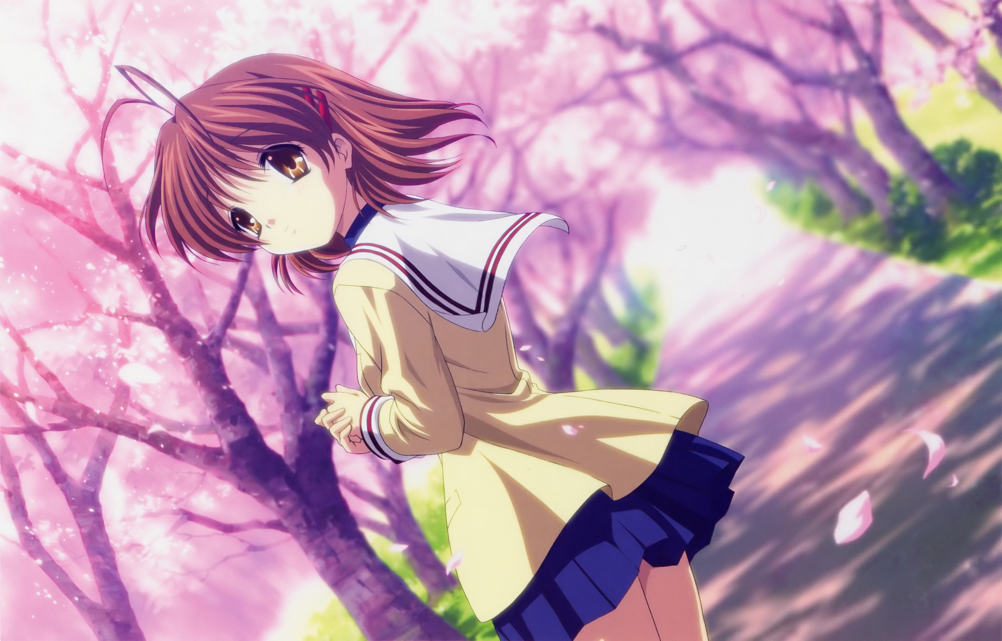 社 /a>制作的游戏《 a target="_blank" href="/item/clannad/25452"