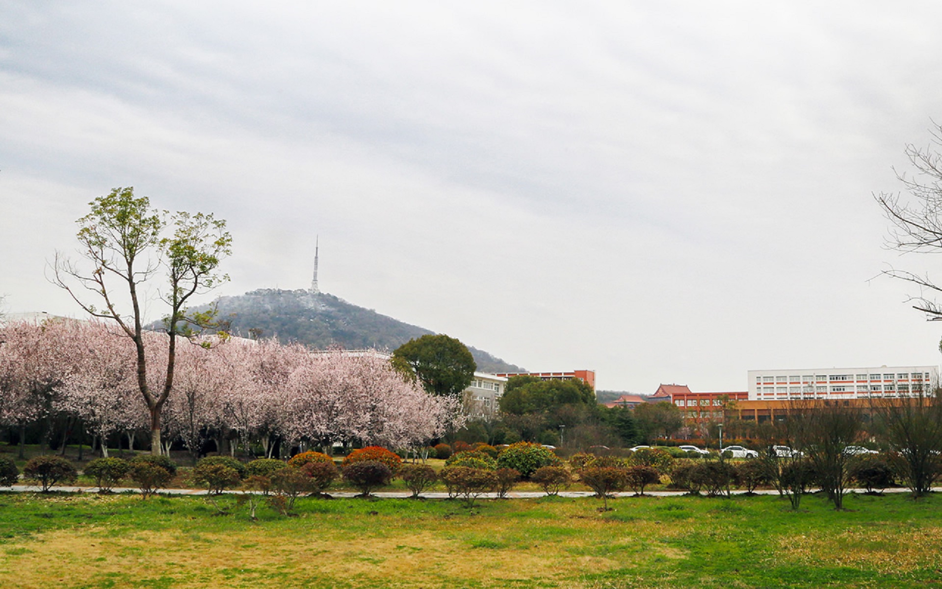 安徽新华学院