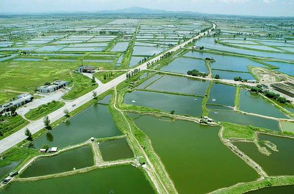  p>水产养殖学专业培养具备水产动,植物增养殖科学等方面的基本理论