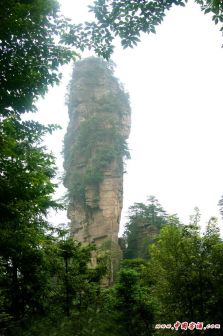 张家界风景（三）