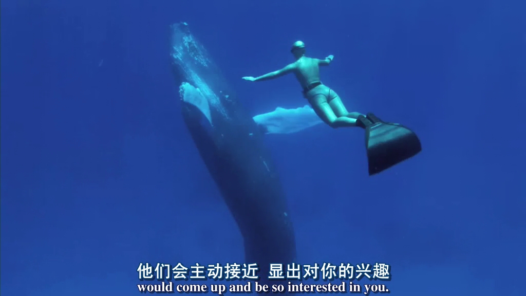  p>《海豚湾》是一部拍摄于2009年的纪录片,由 a target="_blank"