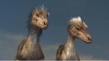  p data-id="gnb7ylu45t">伶盗龙( a target=