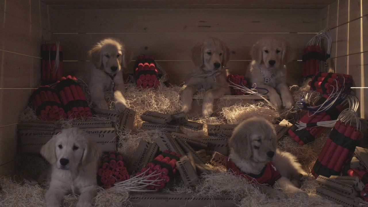  p>《护宝狗狗》是由 a>罗伯特·文斯 /a>执导的一部喜剧片.