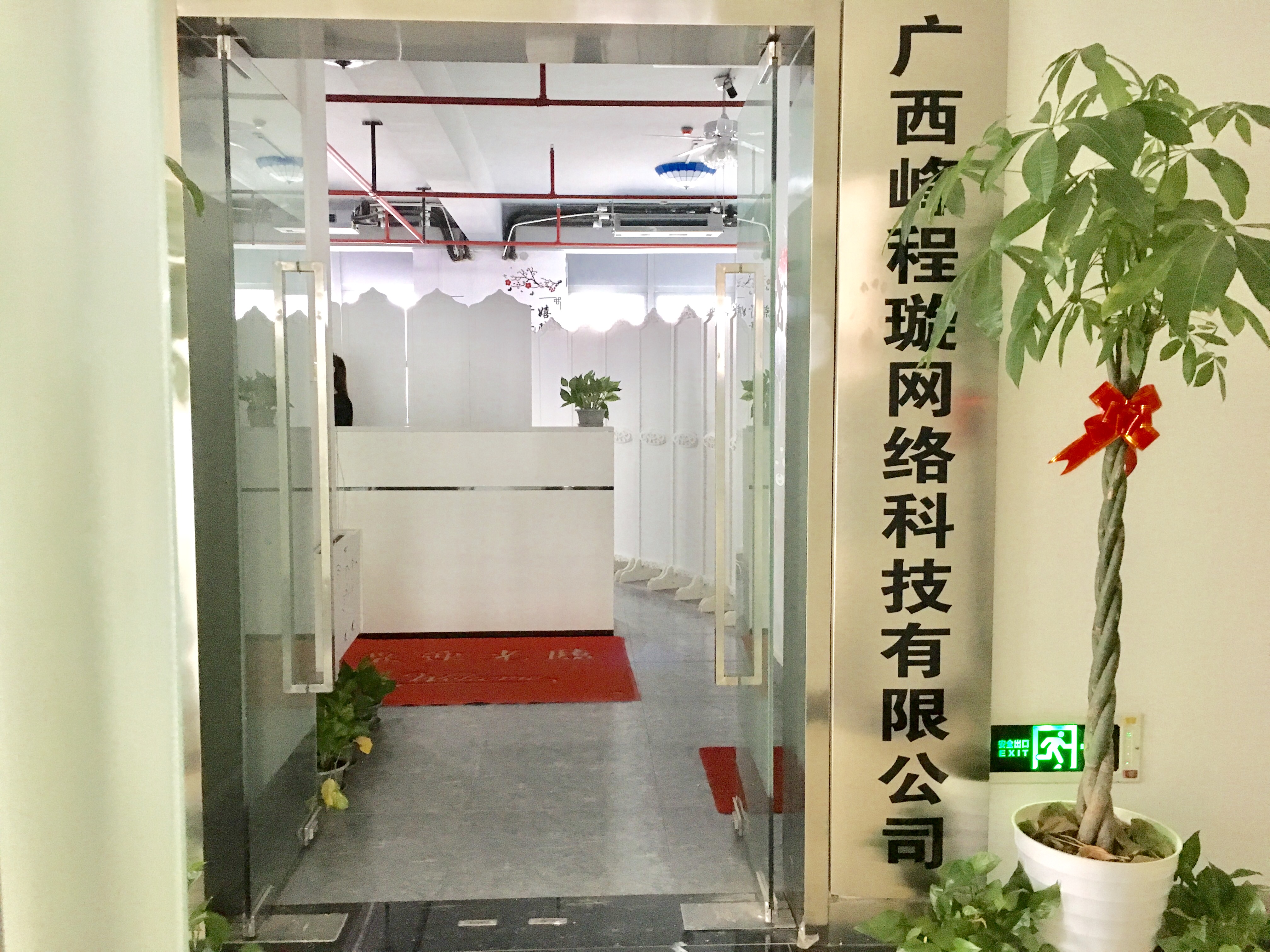 网络广告投放公司经营范围（网络广告投放公司）