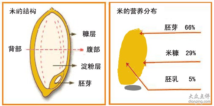  p>大米(rice),亦称稻米,是 a target="_blank" href="/item/稻谷