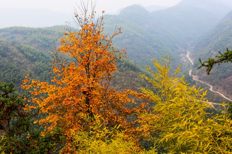  p data-id="gnb2byqssp">东坪古道,位于浙江省衢州市衢江区 a target