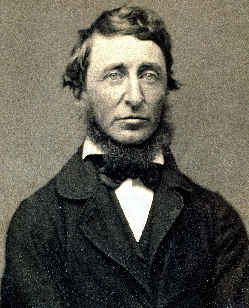  p>亨利·戴维·梭罗(henry david thoreau, i>1817年7月12日-1862年5