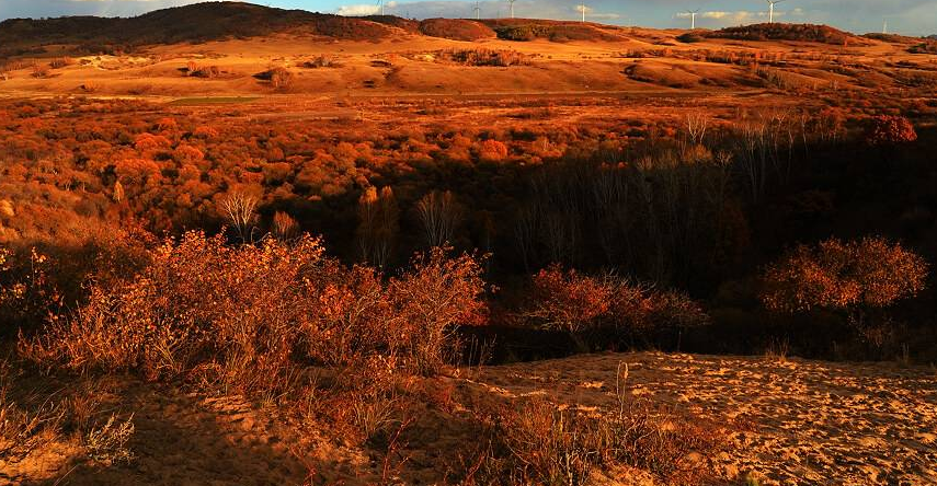  p data-id="gn3fzy730k">康熙会盟园景区位于多伦城南25公里的多伦