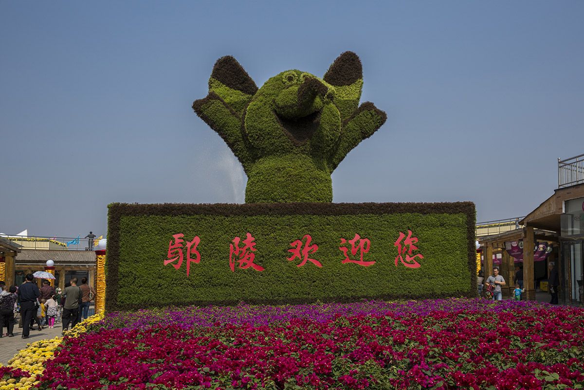 鄢陵国家花木博览园