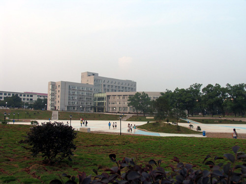 兴湘学院 全网资源